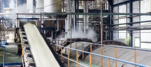 Sugar Plant